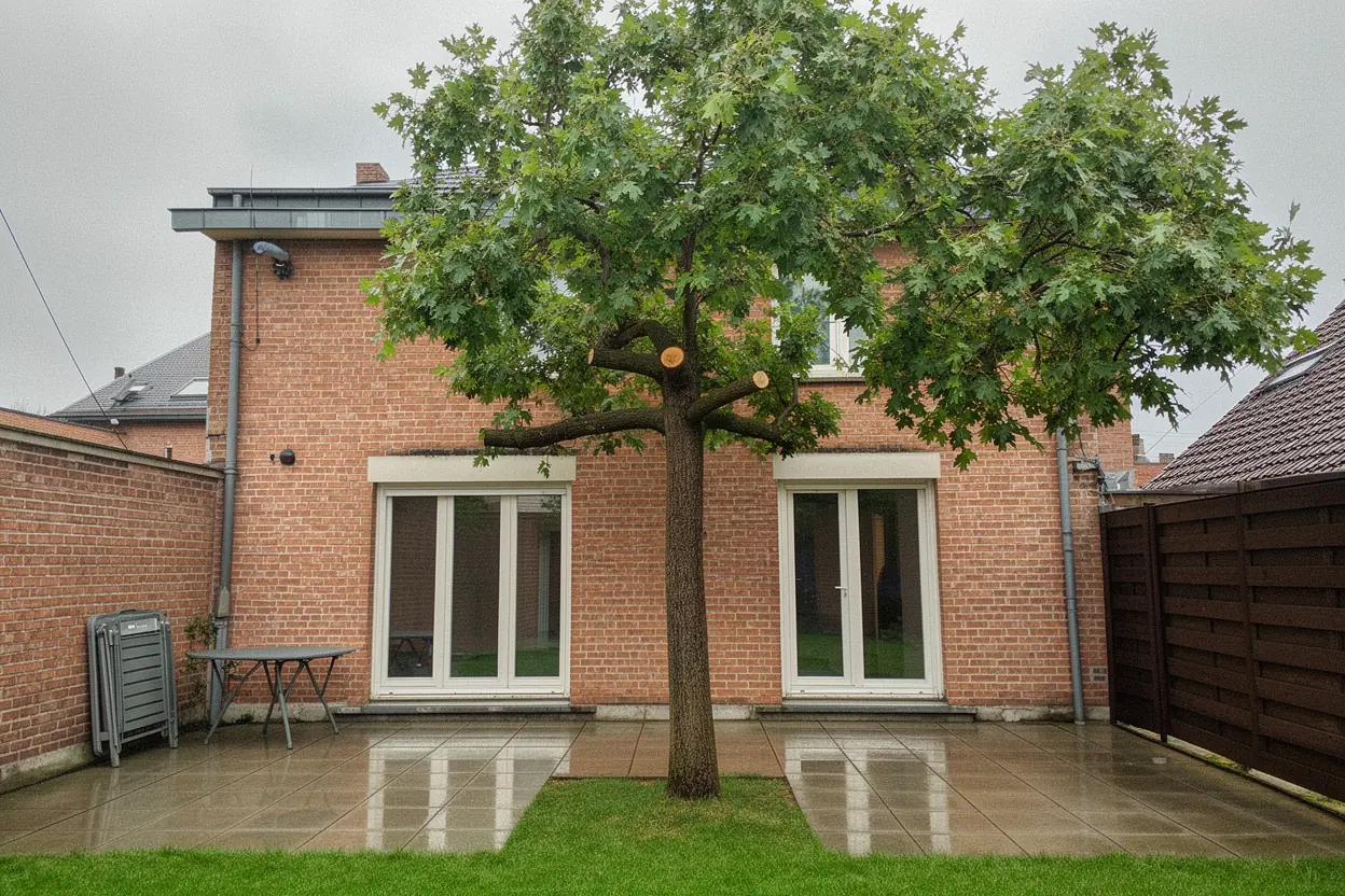 Arbre sécurisé après démontage urgent à Lambersart