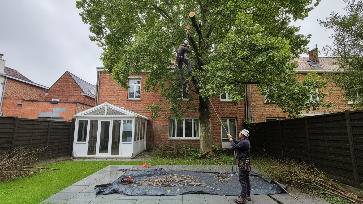 Élagueur professionnel à Lille et dans la Métropole